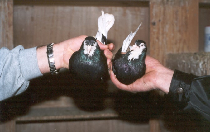 Placeholder image