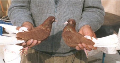 Placeholder image