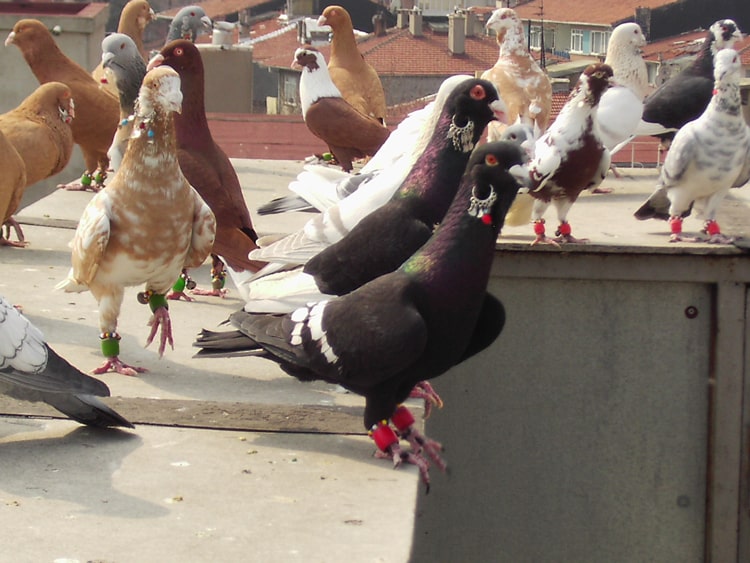 Placeholder image