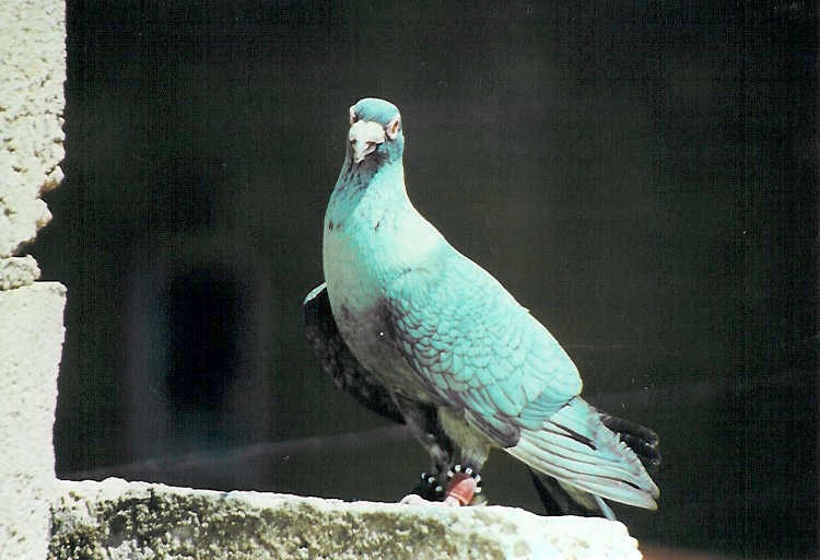 Placeholder image