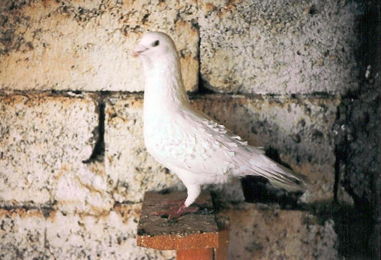 Placeholder image