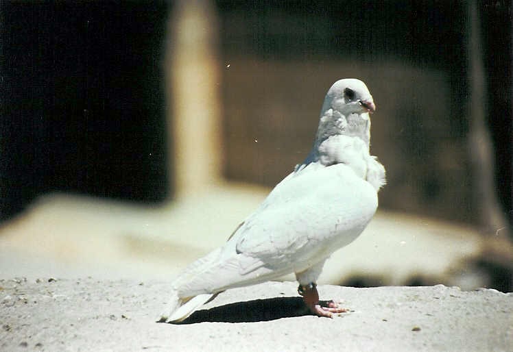 Placeholder image