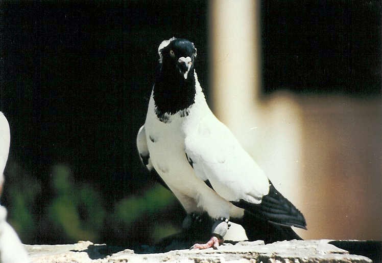 Placeholder image