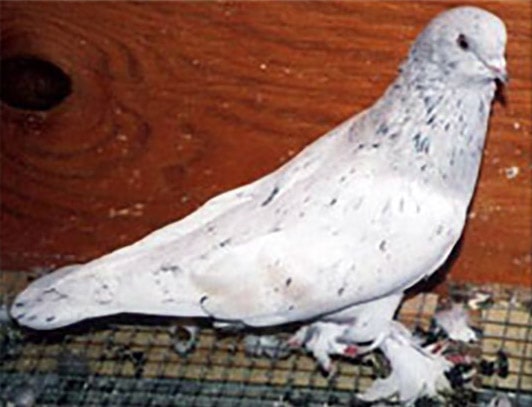 Placeholder image
